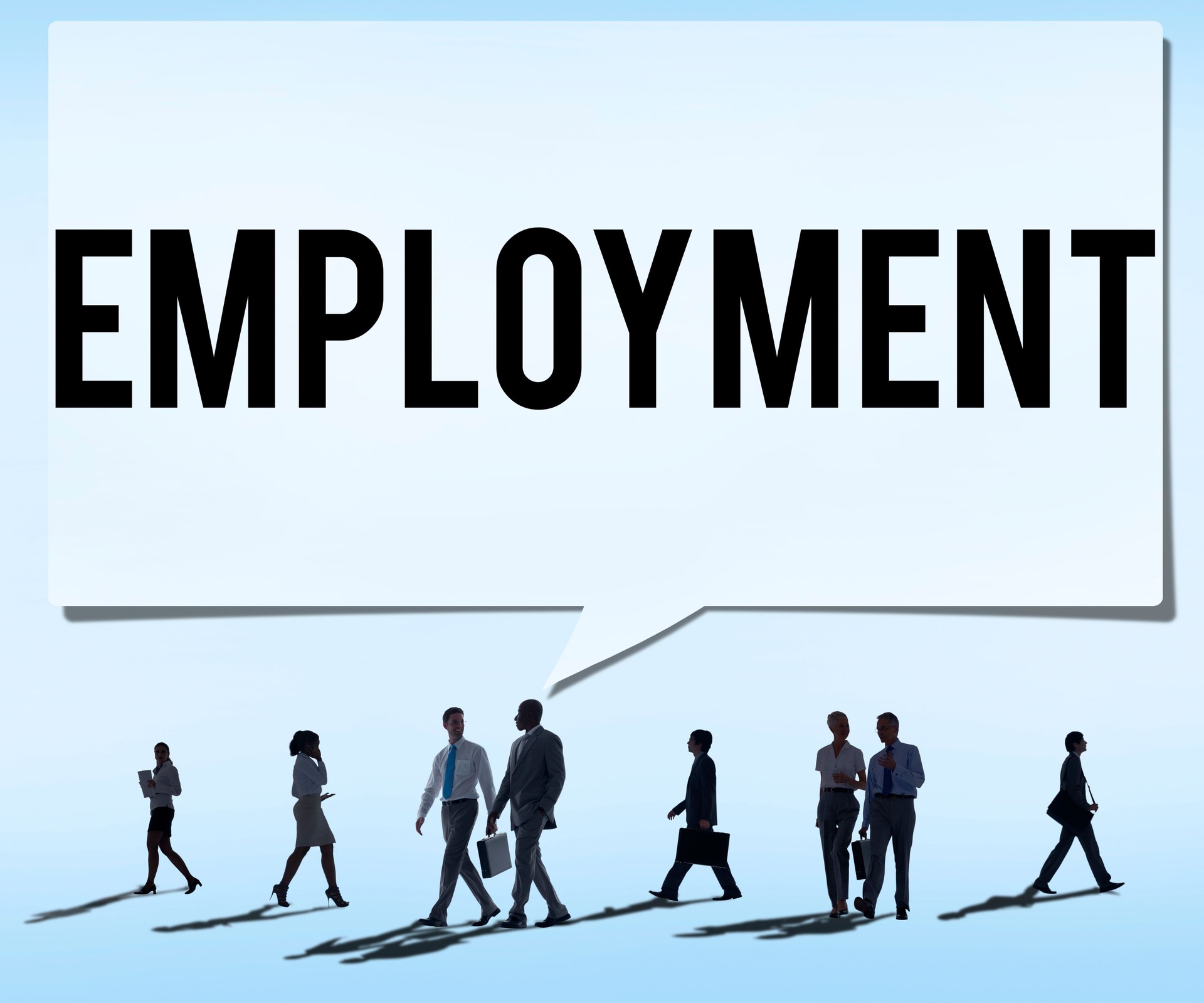 Employment Employed Career Job Hiring Concept